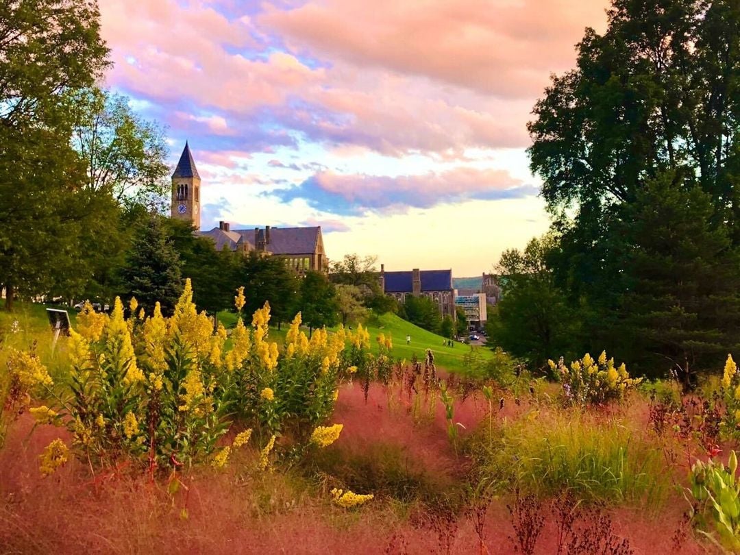 Cornell landscape campus in the fall 