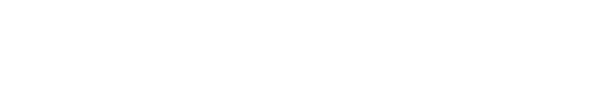 Brooks Public Policy Logo One Line White
