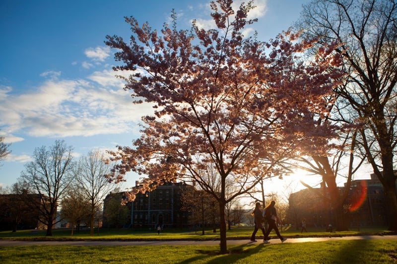 Understanding the Science Behind Learning-By-Doing in Cornell's MPA-image